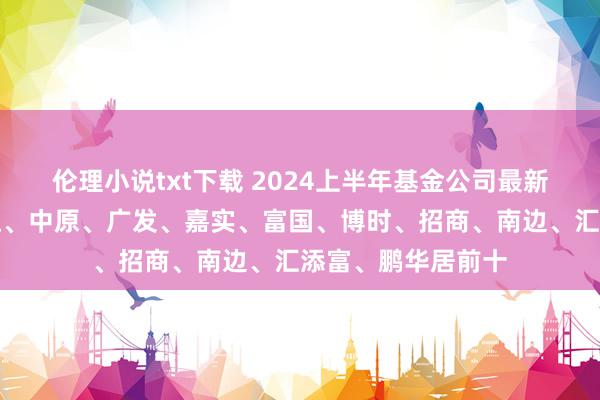 伦理小说txt下载 2024上半年基金公司最新限制排行：易方达、中原、广发、嘉实、富国、博时、招商、南边、汇添富、鹏华居前十