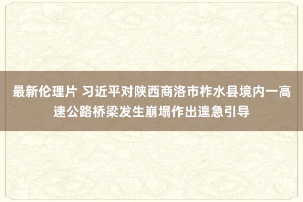 最新伦理片 习近平对陕西商洛市柞水县境内一高速公路桥梁发生崩塌作出遑急引导