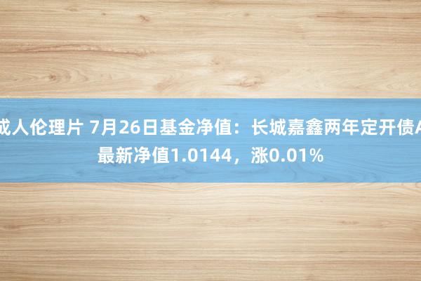 成人伦理片 7月26日基金净值：长城嘉鑫两年定开债A最新净值1.0144，涨0.01%