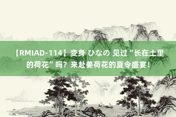 【RMIAD-114】変身 ひなの 见过“长在土里的荷花”吗？来赴姜荷花的夏令盛宴！