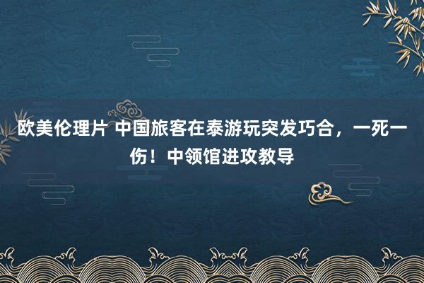 欧美伦理片 中国旅客在泰游玩突发巧合，一死一伤！中领馆进攻教导