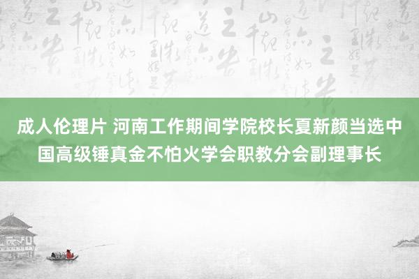 成人伦理片 河南工作期间学院校长夏新颜当选中国高级锤真金不怕火学会职教分会副理事长