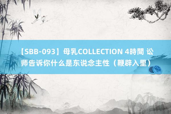 【SBB-093】母乳COLLECTION 4時間 讼师告诉你什么是东说念主性（鞭辟入里）