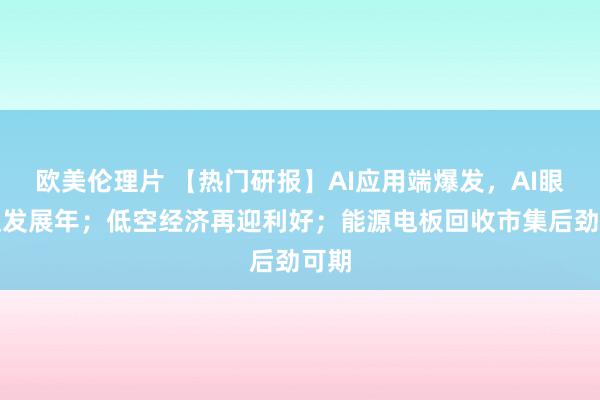 欧美伦理片 【热门研报】AI应用端爆发，AI眼镜迎发展年；低空经济再迎利好；能源电板回收市集后劲可期