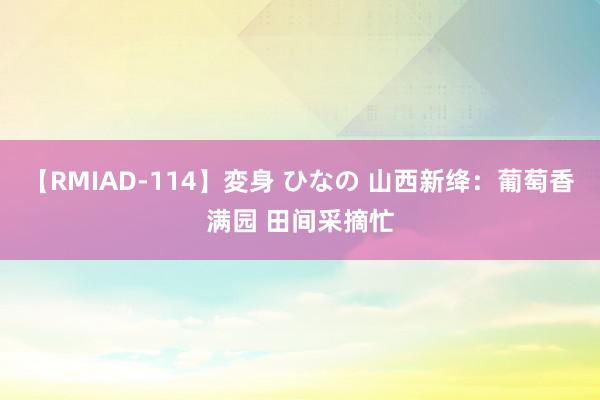 【RMIAD-114】変身 ひなの 山西新绛：葡萄香满园 田间采摘忙