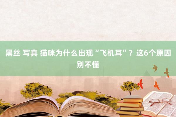 黑丝 写真 猫咪为什么出现“飞机耳”？这6个原因别不懂