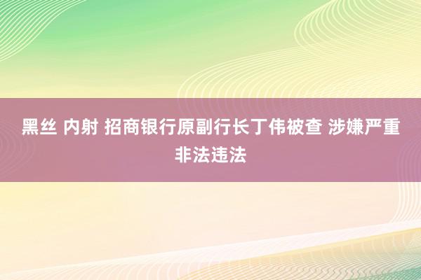 黑丝 内射 招商银行原副行长丁伟被查 涉嫌严重非法违法