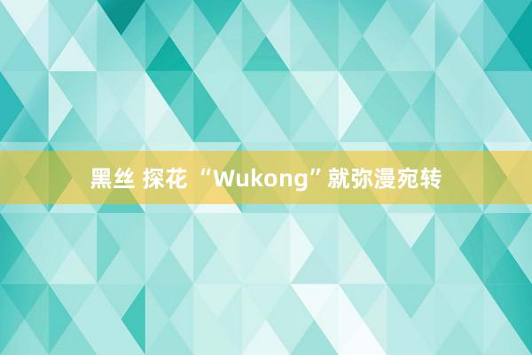 黑丝 探花 “Wukong”就弥漫宛转