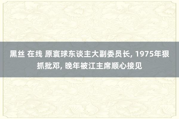 黑丝 在线 原寰球东谈主大副委员长, 1975年狠抓批邓, 晚年被江主席顺心接见