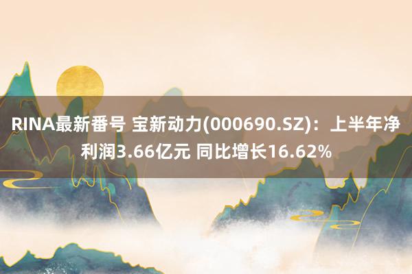 RINA最新番号 宝新动力(000690.SZ)：上半年净利润3.66亿元 同比增长16.62%