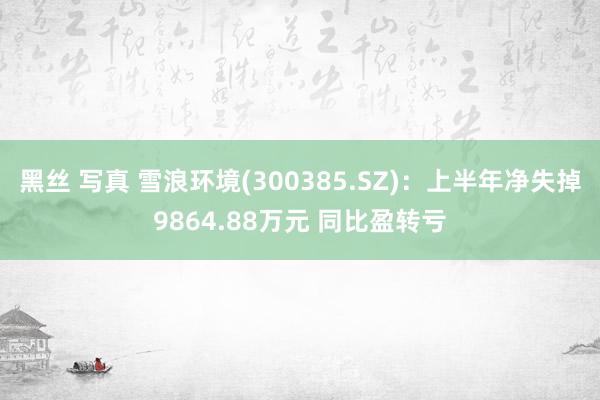 黑丝 写真 雪浪环境(300385.SZ)：上半年净失掉9864.88万元 同比盈转亏